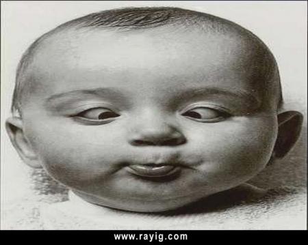 chof_weskot      awla ...........